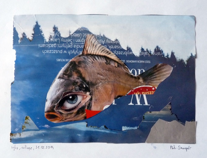 ryba, collage A4 - Piotr Smogór