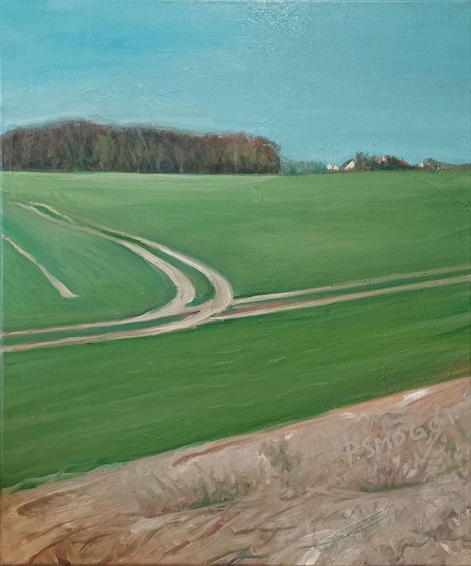 pola - Piotr Smogór