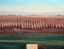 october_2019 - Piotr Smogór october_2019 - Piotr Smogór