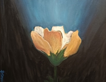 światłość - Piotr Smogór